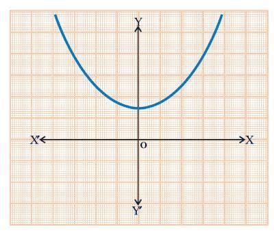 PolynomialTo draw the graph of aquadratic polynomial andobserve:i) The ...