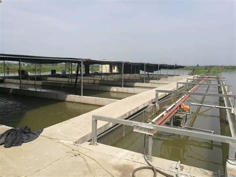 皇池流水混合型养殖法是怎样的,说起池塘循环流水养殖技术的句子 - 品尚生活网