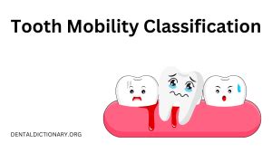 Image result for Tooth Mobility Classification Chart