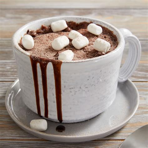 Hot Chocolate Mug Cake Recipe