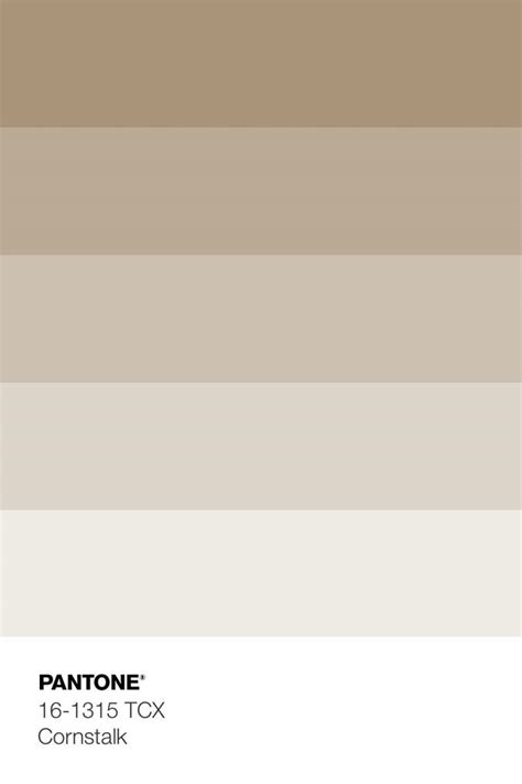Image result for Colors in Python Program
