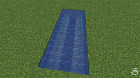 Image result for Kelp Farm Java