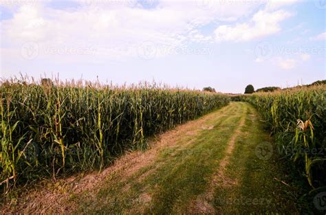 Path through Field 的图像结果
