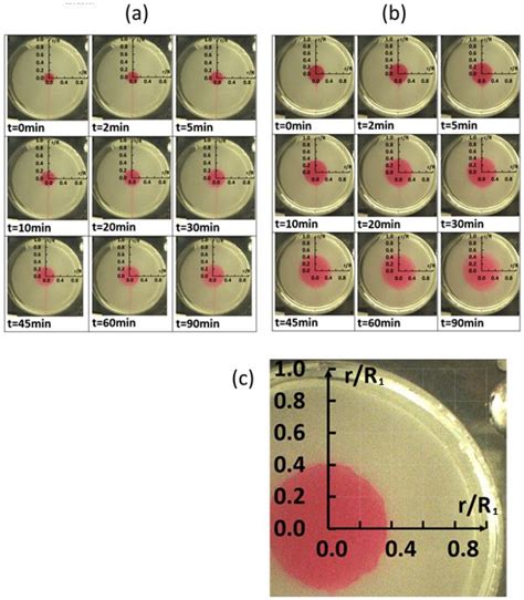 Characterization of Effective Diffusion within Viscoelastic Fluids with ...