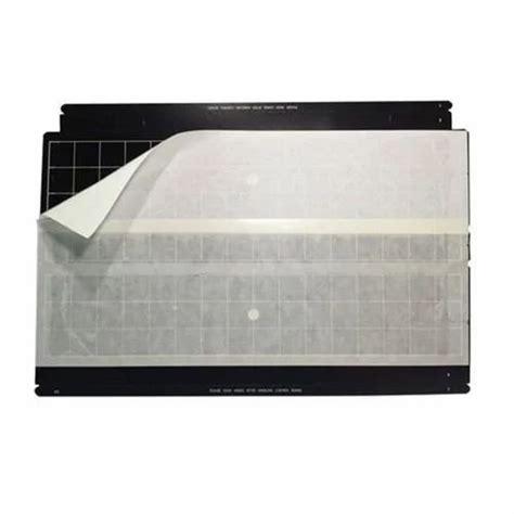 Fly Catcher - Spider Fly Catcher Glue Pad Sheets Trader - Retailer from ...