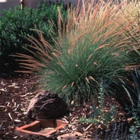 Radovi u jesen kod vanjskog cvijeća – Cvijeće & priroda