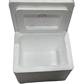 Insulated Styrofoam Ice Box with Lid, 5 Litre Capacity, White ...