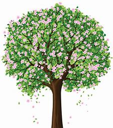 Image result for Spring Pictures Clipart Tree