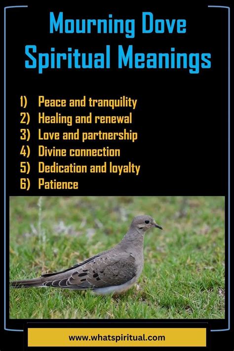 11 Spiritual Meanings of Mourning Dove and Symbolism - What Spiritual