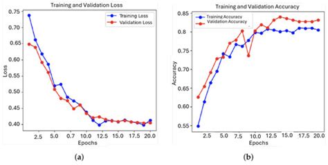 AI-Enhanced Detection of Heart Murmurs: Advancing Non-Invasive ...