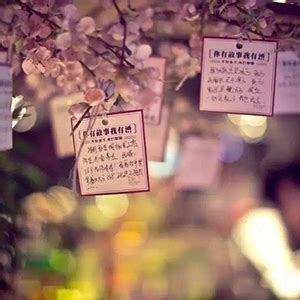 《深夜食堂》-在东京的第36个故事|摄影|人文/纪实|阳光呀阳光你别走 - 原创作品 - 站酷 (ZCOOL)