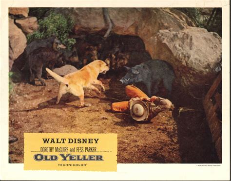 Old Yeller 11