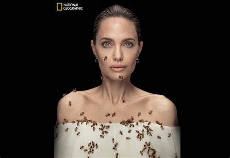 Angelina Jolie Photoshoot On World Bees Day With National Geographic