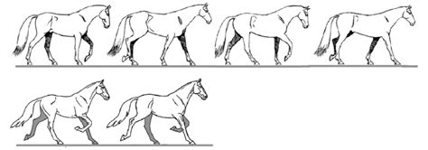 Image result for Additional Operators JavaScript