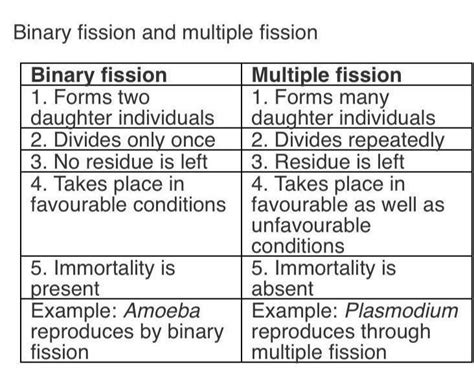 How does binary fission is differ from multiple fission? - Brainly.in