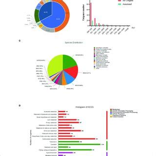 Image result for De Novo Transcript Assembly