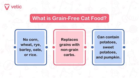 What is Grain-Free Cat Food? Is It Good for My Cat?