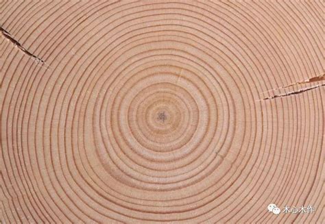 家具木料种类大全 木材种类介绍 - 知乎