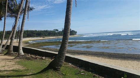 SURF CAMP KRUI "TAPOKAN INDAH" - Specialty B&B Reviews & Photos ...