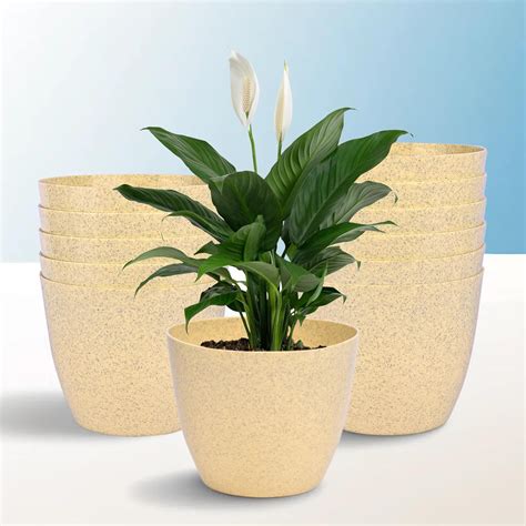 Kuber Industries Pack of 12 Flower Pot | Flower Pot for Living Room ...