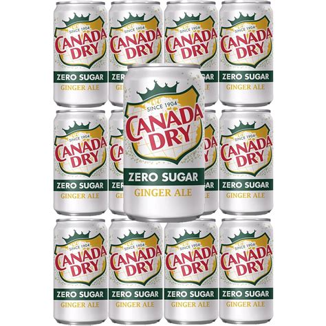Canada Dry Zero Sugar Ginger Ale, 7.5oz Mini Cans (Pack of 24) – Oasis ...