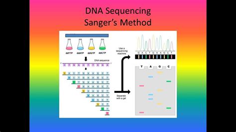 Image result for DNA Sequencing