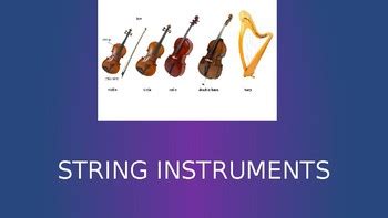 Image result for Stringed Instruments