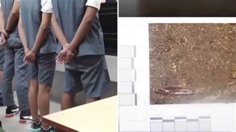 They impose a life sentence on the murderer of a farmer in Cienfuegos ...