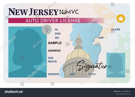 New Jersey Drivers License Female Silhouette Stock Vector (Royalty Free ...