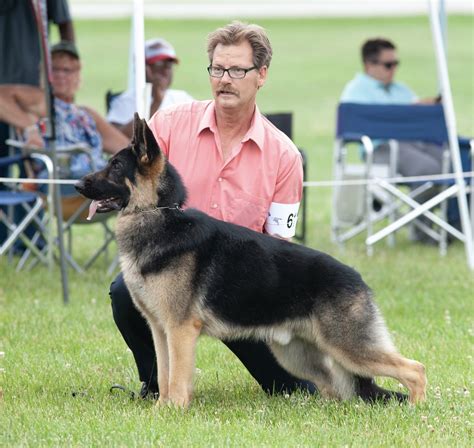 INVER GROVE HEIGHTS ANIMAL HOSPITAL - Inver Grove Heights MN - Hours ...