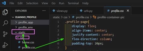 Image result for Profile Display Project Using Python