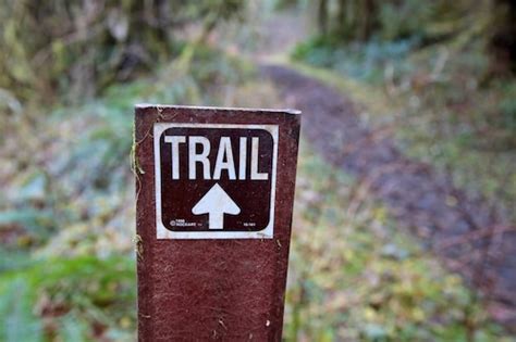 Howard Creek Loop is an easy introduction to the other side of Silver ...