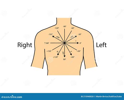 Einthoven ECG Triangle, Including Augmented Unipolar Limb Lead Stock ...