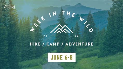 Crisis Response International Training Hub