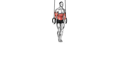 Image result for Muscle Up Tutorial