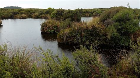 THE BEST Places to Visit in Ohai (2026) - Must-See Attractions