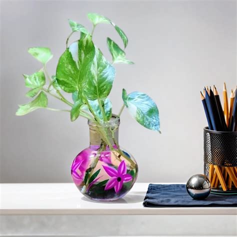 Buy MITHILA HANDICRAFTS Decorative Glass Vase - Elegant Flowers Pot For ...