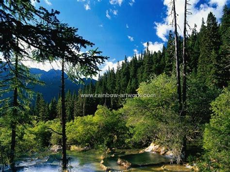 Painting 的图像结果