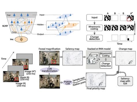 Cognition Lab