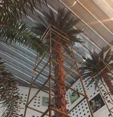 Artificial Palm Tree Manufacturers & Supplier in Bihar