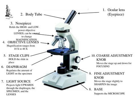 Optical Microscope Basics 的图像结果