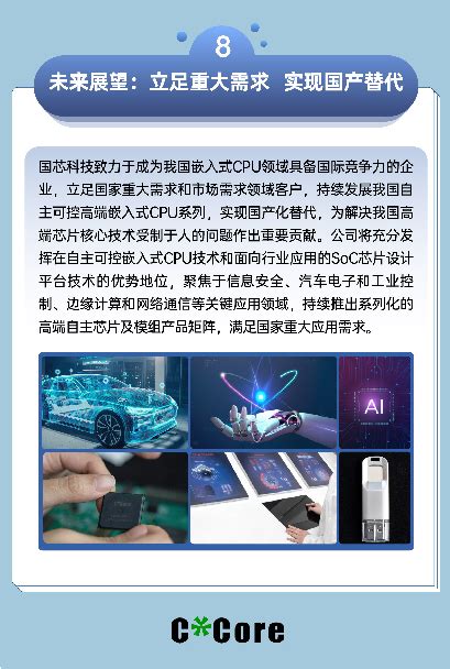 苏州国芯科技2021年年报 一图读懂