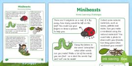 EYFS Butterfly Life Cycle Home Learning Challenge Sheet Reception