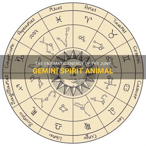 The Enigmatic Energy Of The June Gemini Spirit Animal | ShunSpirit
