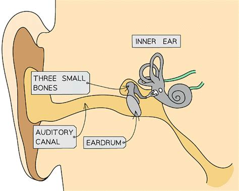 Sound Waves - Physics for Grade 10 PDF Download