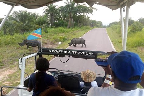 2024 3 days Kinshasa Congo River and N’sele park experience