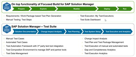 Solution Manager Test Suite 的图像结果