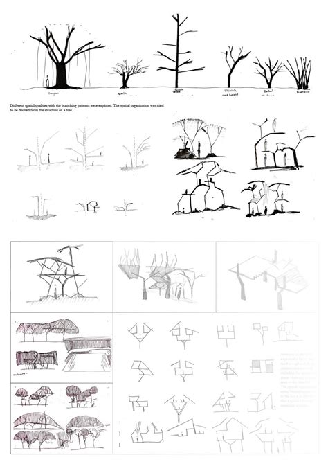 Aboris | CEPT - Portfolio