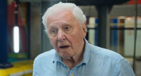 Sir David Attenborough admits he's 'nearing the end of his life'