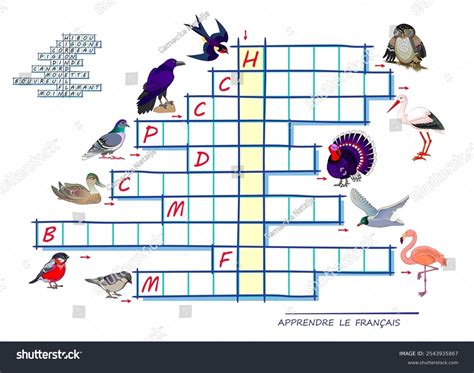 Learn French Crossword Puzzle Game Pictures Stock Vector (Royalty Free ...
